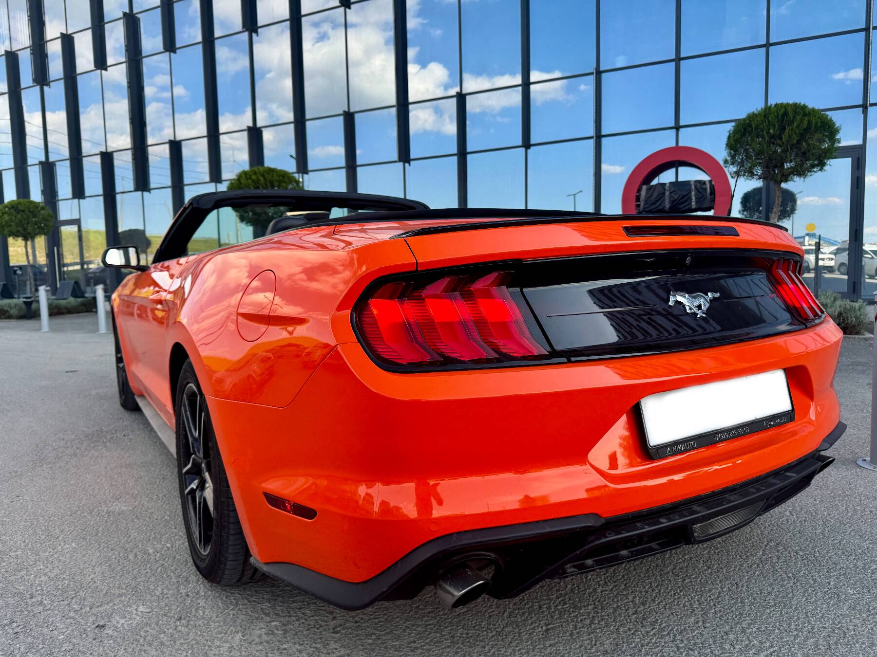 Mustang