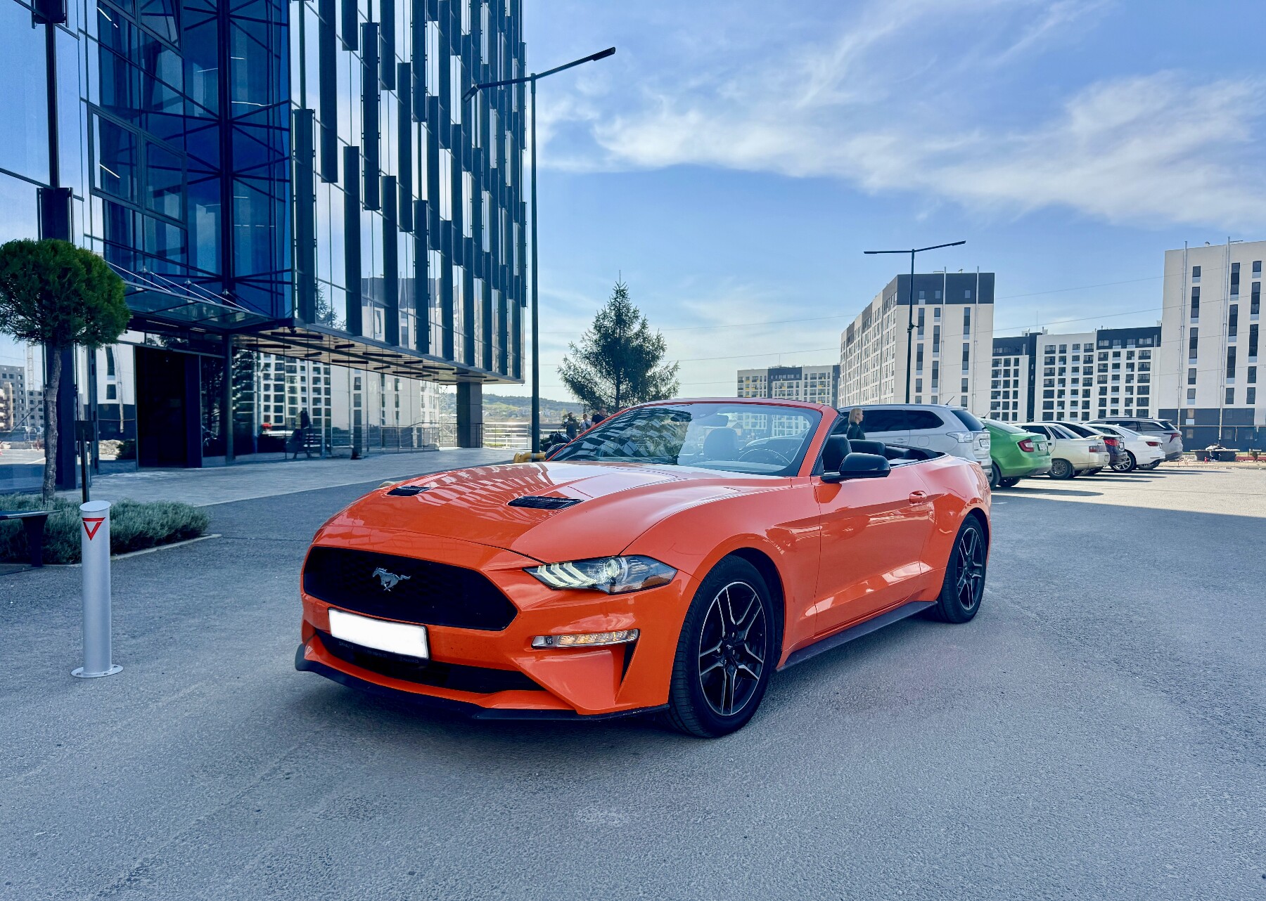 Mustang